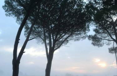 Podere Cerciano - Foto 77