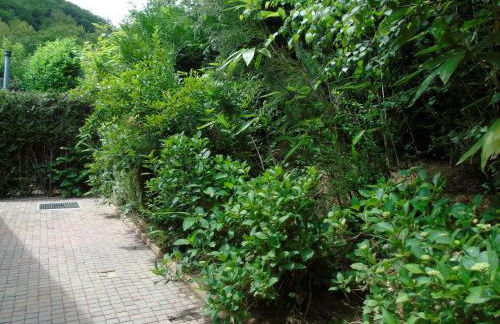 Maison L'Hirondelle Rustique à Tournavaux - Foto 50