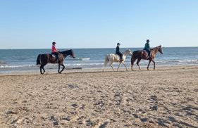Studio l'Oasis - Piscine, plage de La Baule 10 min - Photo 4