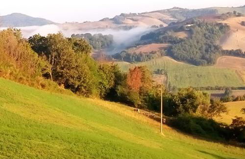 Agriturismo Alla Vecchia Quercia - Foto 55