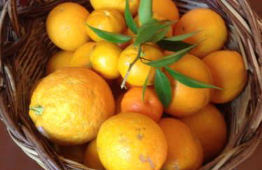 Agriturismo La Casa delle Fate - Photo 72