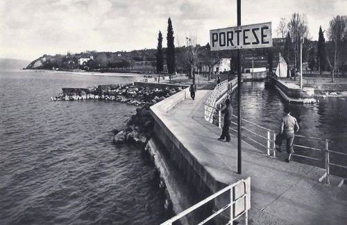 Prato Verde - Girasole - Foto 54