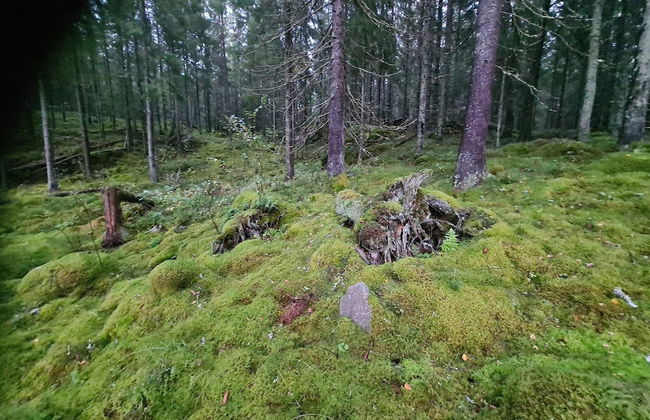 2 Person Holiday Home in Aplared-by Traum - Foto 18