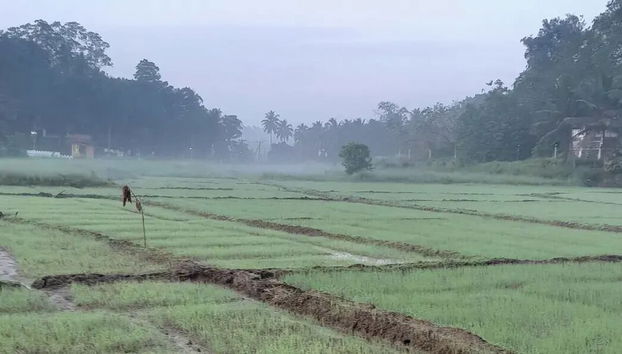 The Gatehouse Galle - Foto 3, Fachada del alojamiento