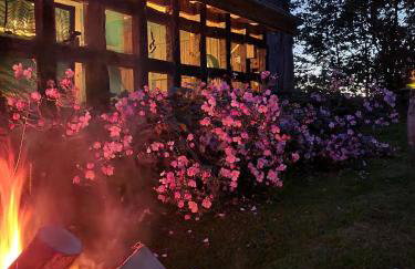 Ferienwohnung Haloi - Foto 8