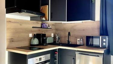 Appartement neuf à 400 m des remontées avec Sauna - Photo 5