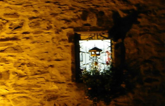 Uitzicht op de Pellenz - Foto 24