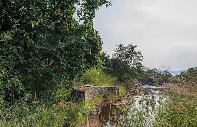 CosmicStays Rajgad Vista - Stay & play - Foto 43