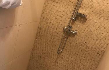 W Pieninach studio - Photo 8