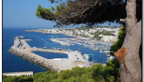 La payara di nonna nina - Foto 3