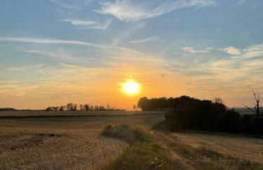 COSY APPART NUMERO 2 - Photo 17