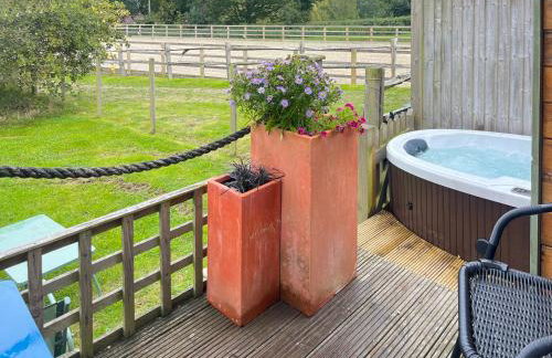 The Pod At Egmont - Photo 10