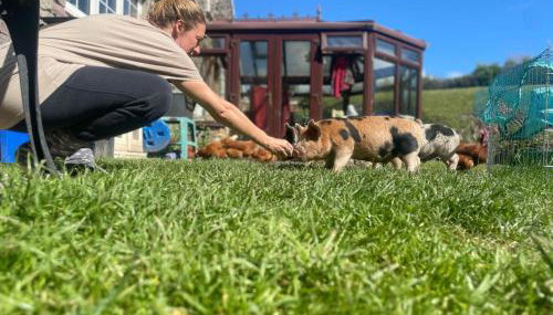 Ruby's Retreat! Farm Stay! North devon! Sleeps 6! Beaches Exmoor! - Foto 4