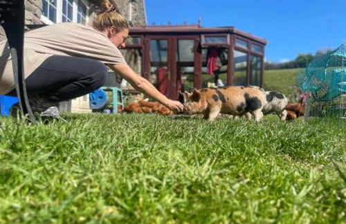 Ruby's Retreat! Farm Stay! North devon! Sleeps 6! Beaches Exmoor! - Foto 4