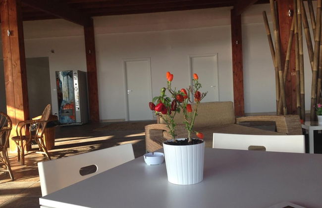 Beach Club Ippocampo - Photo 18