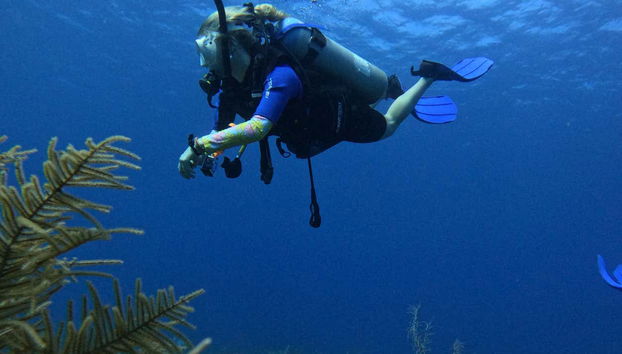 Plongée dans les eaux de San Andrés
