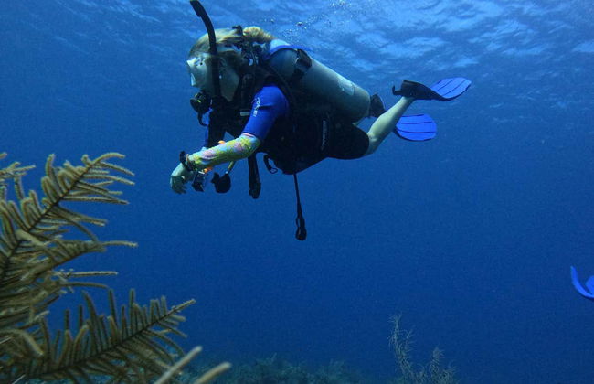Buceo en San Andrés - Foto 2