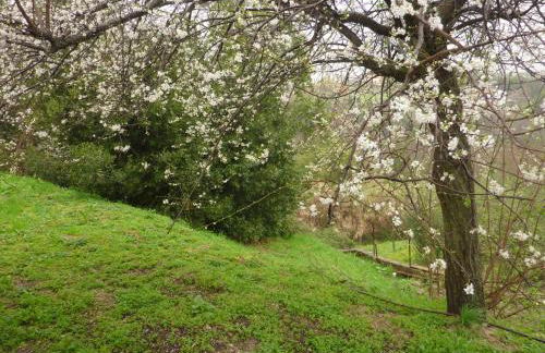 Mare Colline Città d'Arte - Foto 23