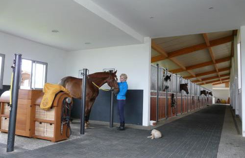Domaine équestre de la Chênaie - Foto 27