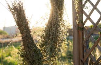 Pelagias Villa - Photo 48