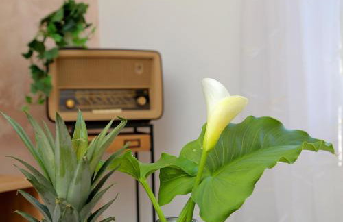 Blue Cliff Apartment - Foto 21