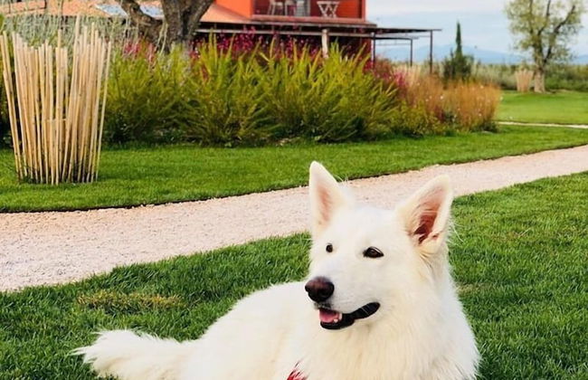 Podere Maremma Spa & Ristorante - Foto 28