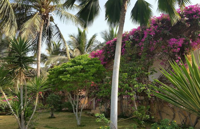 La bougain Villa - Photo 24