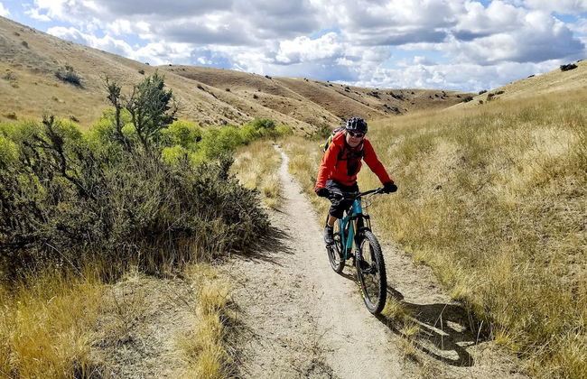 Red Ivy #4 - Foto 13