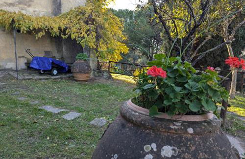 Fontestanza - La Mimosa - Foto 15