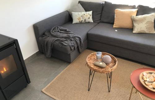 Bico das flores - Foto 28