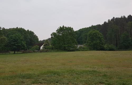 Silna Nowa 2 - Foto 11