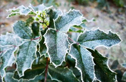 FEWO PARTNERS Haus Clemens - Gemütliches Holzhaus mit Grundstück nahe Badesee - Photo 30