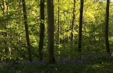 The Snug @ the Mill Inn, Stonehaven - Foto 36