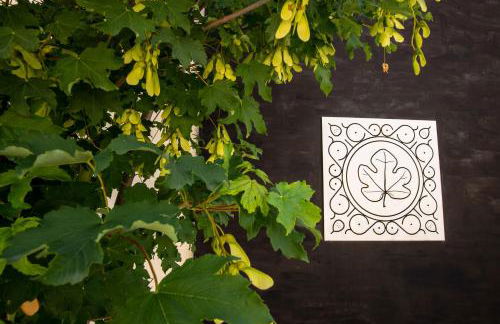 Agriturismo Podere Coldifico - Foto 15