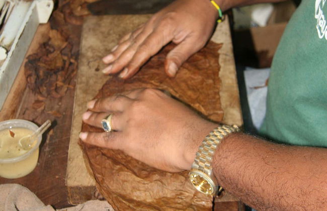 Visita a la fábrica de cigarros Graycliff Cigar Company - Foto 6