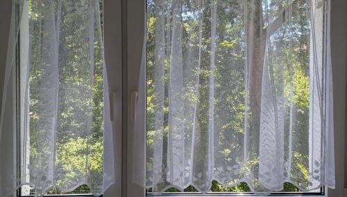 Arbeiterwohnung - Foto 5, Garden view