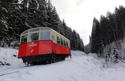 FeWo Obstfelderschmiede - Foto 39