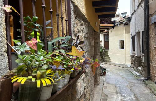 Casa Artista - Foto 22