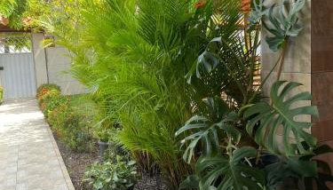 A Casa da Ilha - Foto 5