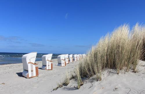 Charmante Ferienwohnung in Kirchdorf Insel Poel - Foto 33