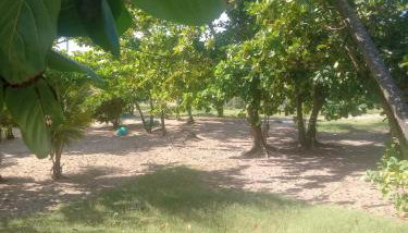 Casa frente pro Rio imbassai - Foto 2