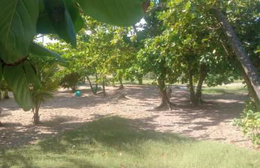 Casa frente pro Rio imbassai - Foto 2