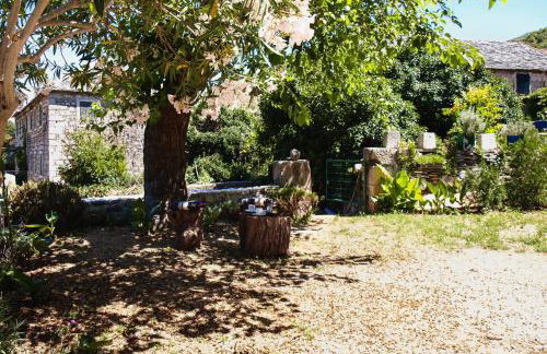 Holiday house with WiFi Dol, Brac - 5674 - Photo 10