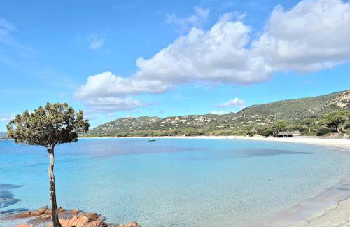 Charmant T2 climatisé avec terrasse à 5min des plages - Foto 11
