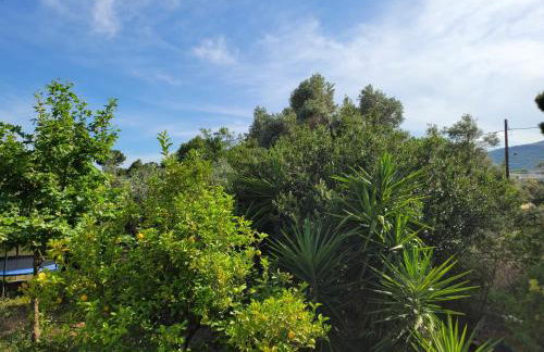 Green House Marathon - Greece - Foto 39