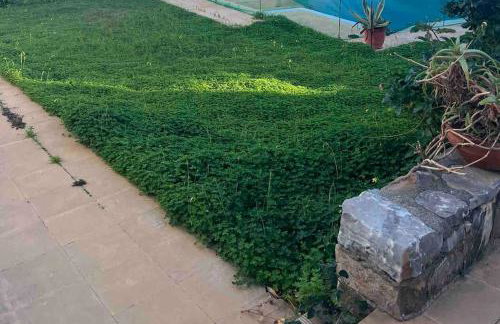 Island Away Chersonisos - Foto 27