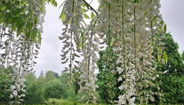 City Apartment Tübingen-Lustnau - Foto 3