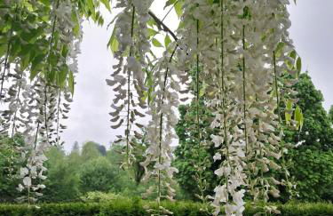 City Apartment Tübingen-Lustnau - Foto 3