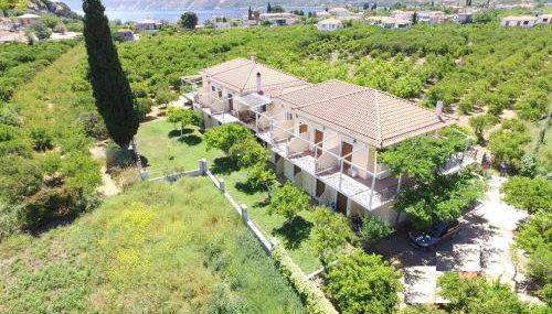 Το Είδωλον - Foto 5