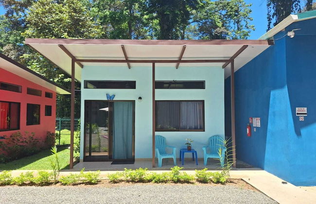 Caribbean Blue Morpho - Foto 24